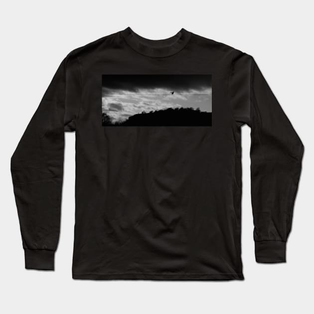 ON THE BUZZ WIRE Long Sleeve T-Shirt by dumbodancer